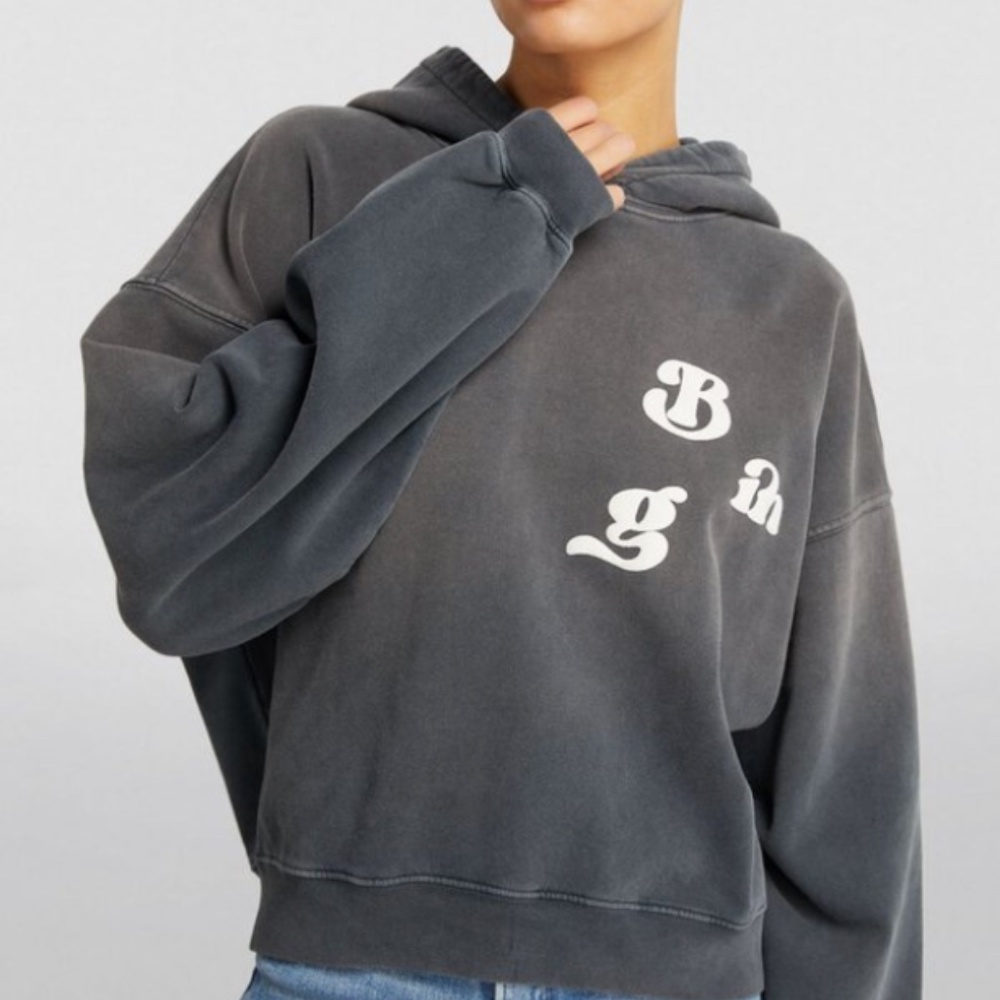 Anine Bing Alec Hoodie